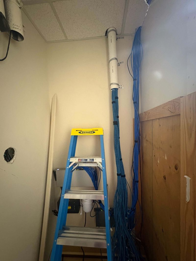 Structured Cat6 network cabling bundled and routed down the wall into the network room